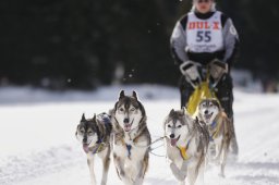 Lenzerheide 2013